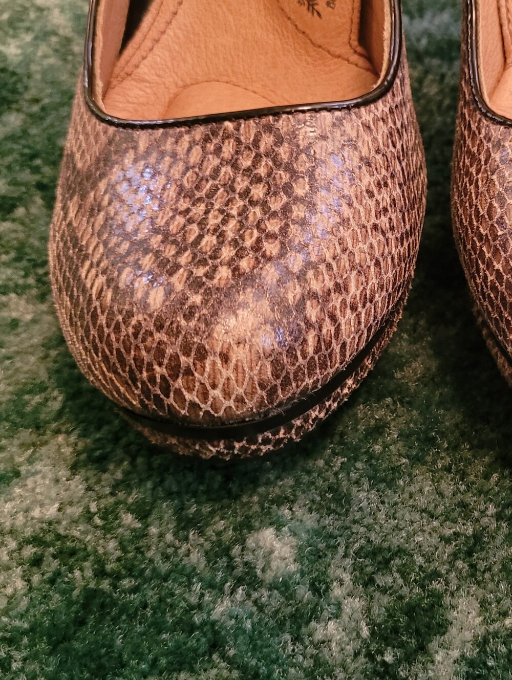 NWT Snake-Print Sofft Leather Pump - Picture 5 of 9